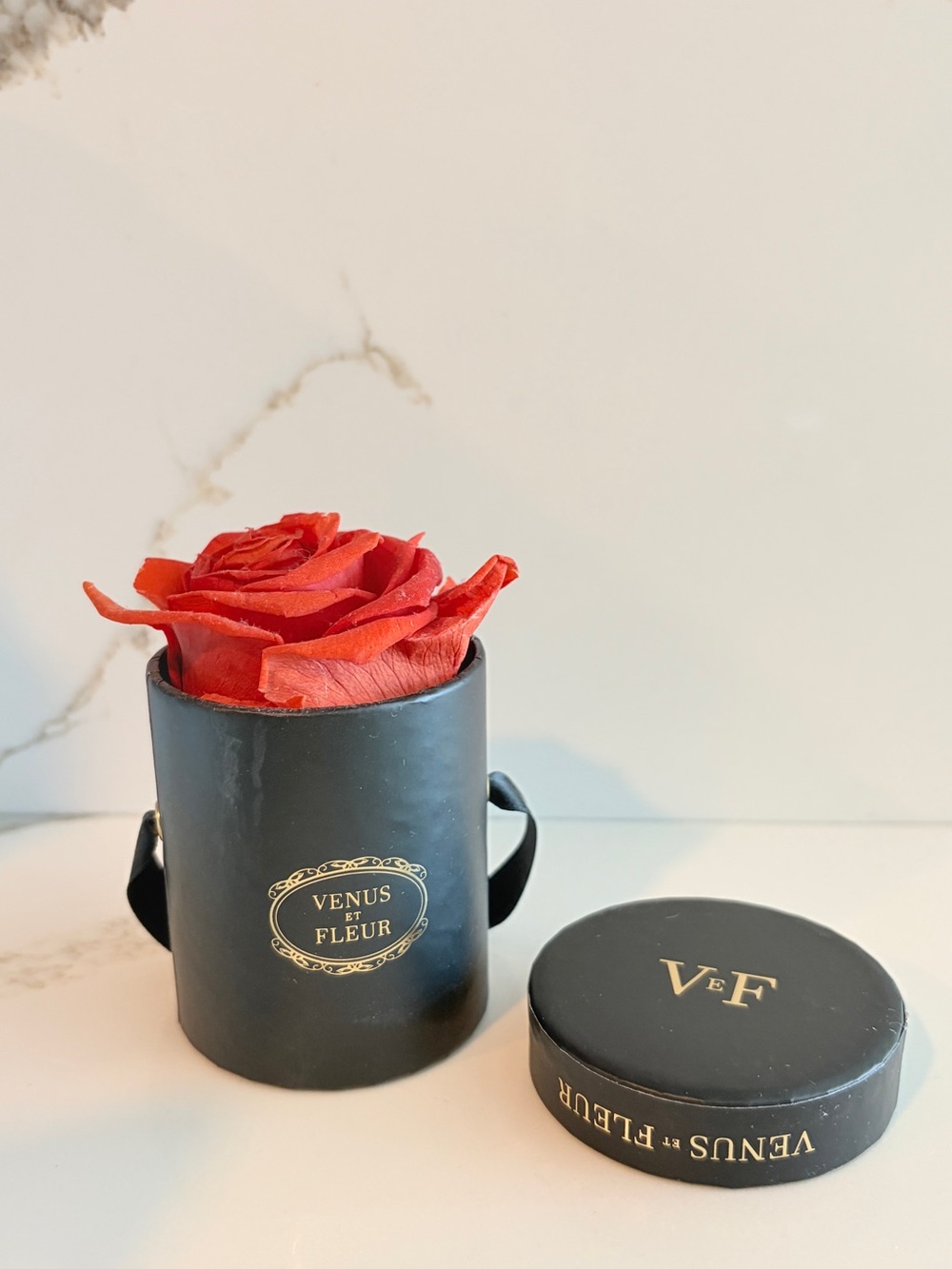 VENUS ET FLEUR Red Preserved Rose in Black Gift Box